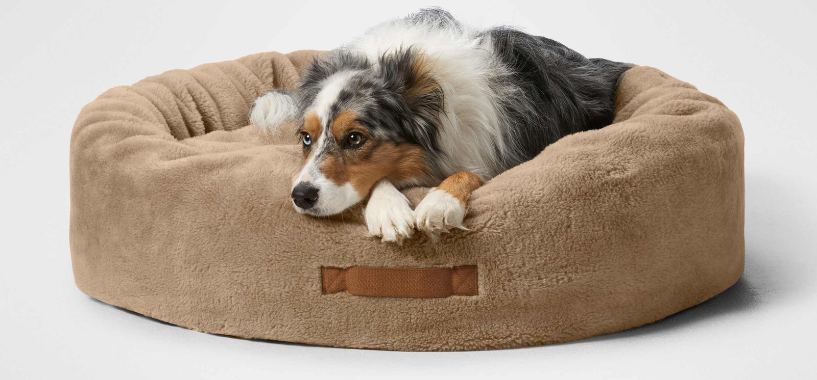 The Ultimate Dog Bed Buying Guide: How to Choose the Best Dog Bed for Your Pet