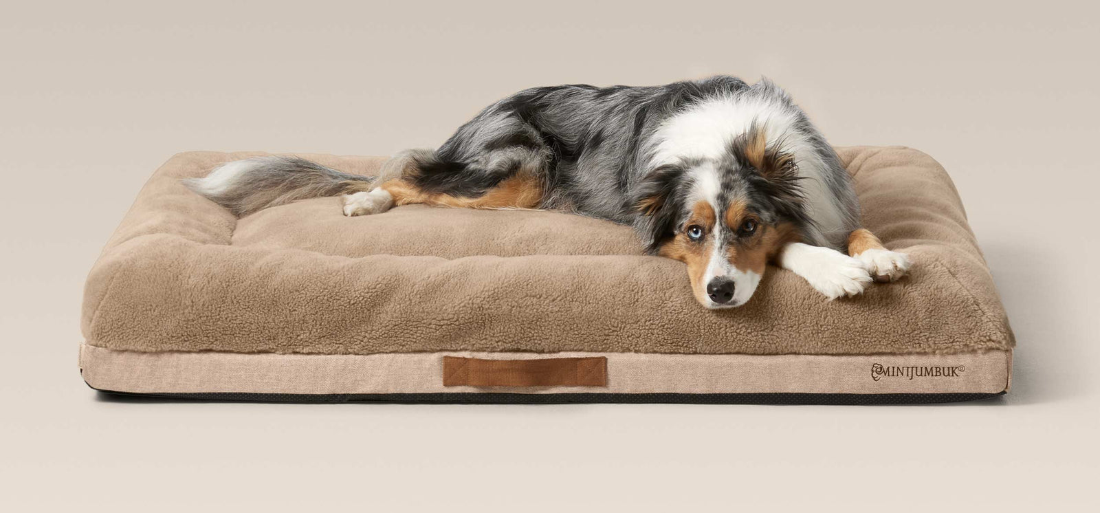 The Complete Guide to Dog Beds for Health and Comfort