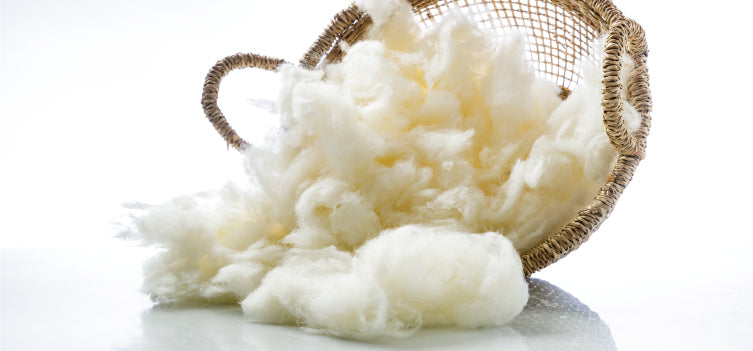 Real Customer: Wool Bedding Improves Toddlers Eczema