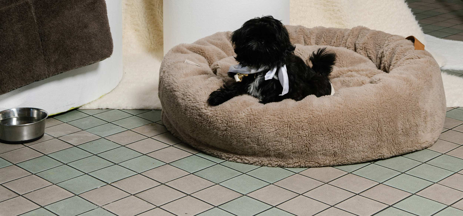 The Complete Guide to Seasonal and Lifestyle Dog Beds