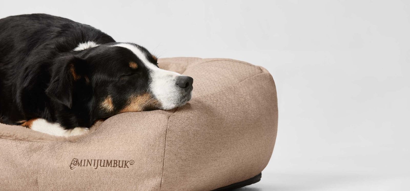 The Complete Guide to Dog Bed Materials and Care