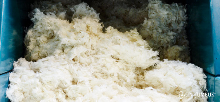 How wool is prepared before going into a MiniJumbuk product