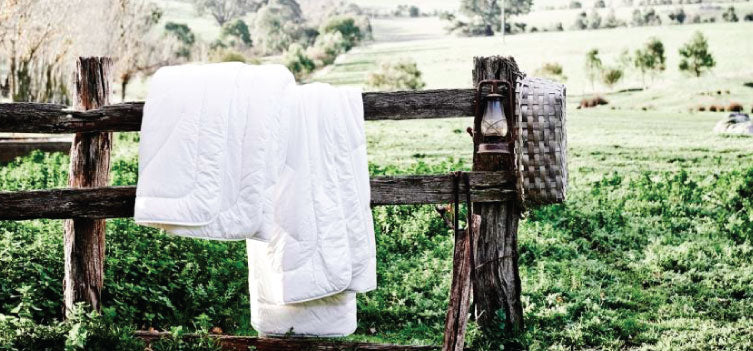 How much does a quilt/duvet cost?