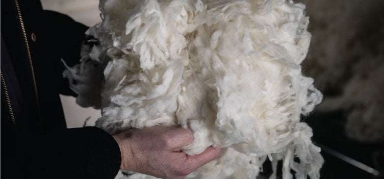 Why Wool is Environmentally Friendly