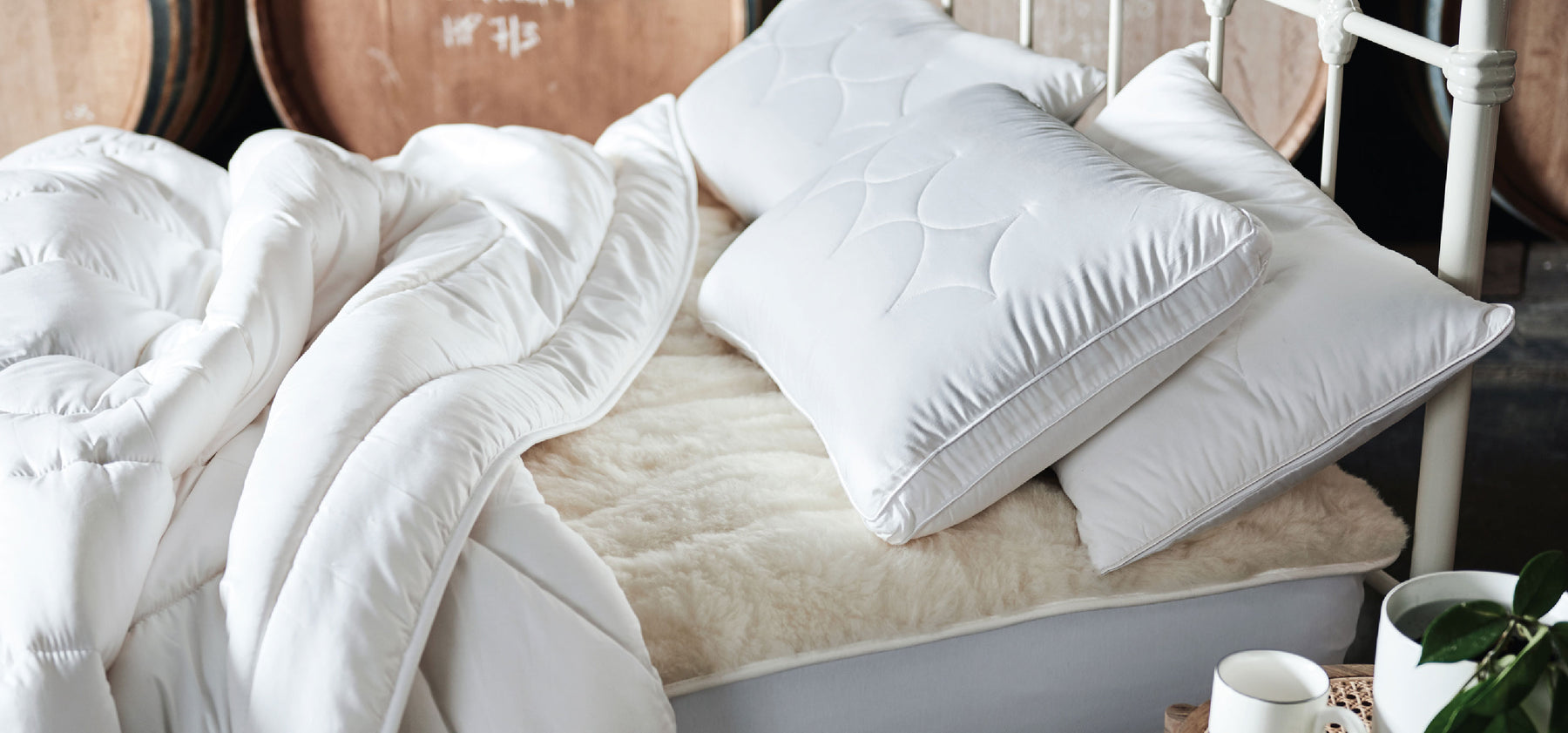 Matt Walker's 6 sleep tips for better sleep MiniJumbuk