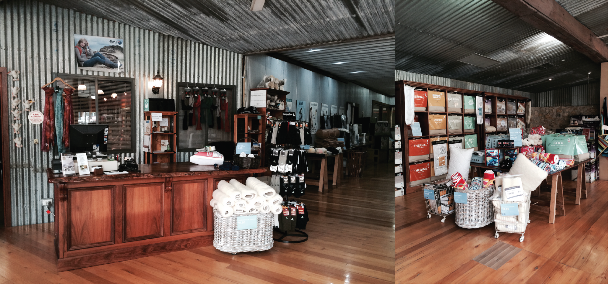 Cape Jaffa Seafood and Wine Festival 2015