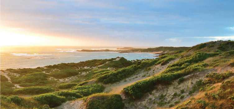 MiniJumbuk‚Äôs top picks for autumn in the Limestone Coast