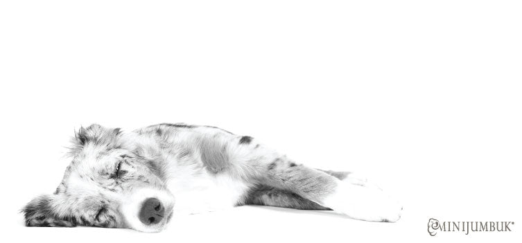 Our guide to never feeling tired again