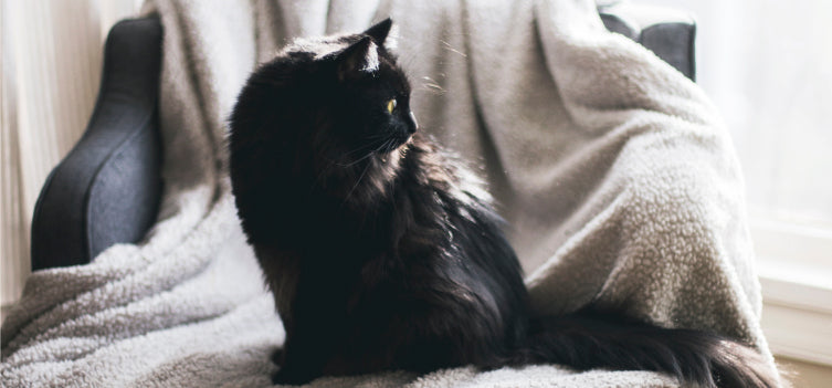 Old wives tales and sleepy superstition