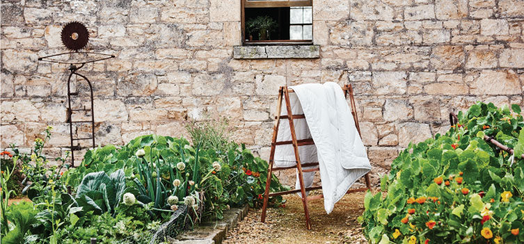 Our Autumn Checklist