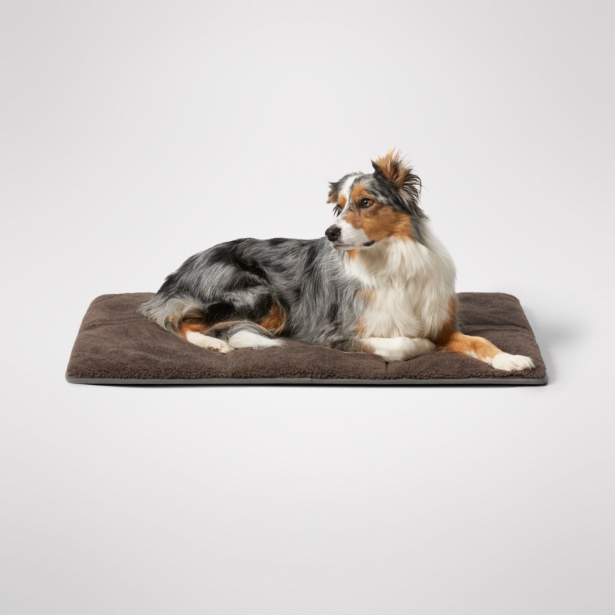 travelswag-mocha- Large - Tumbnail #1